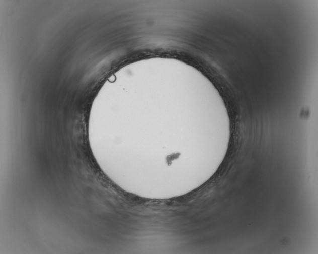 X0000111610918200907171036
