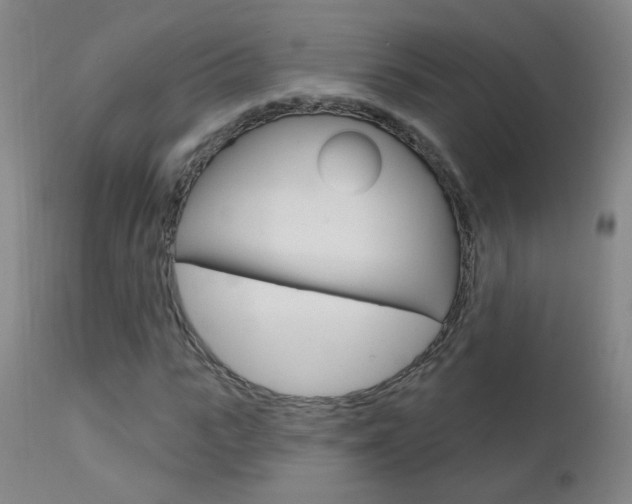 X0000111610919200907171036
