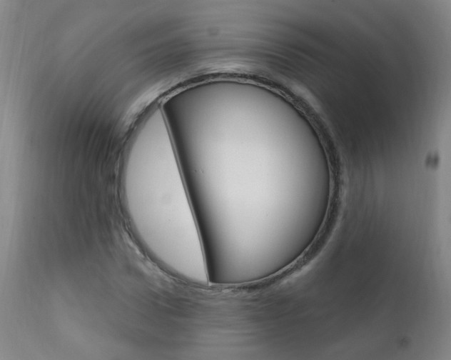 X0000111610922200907171036