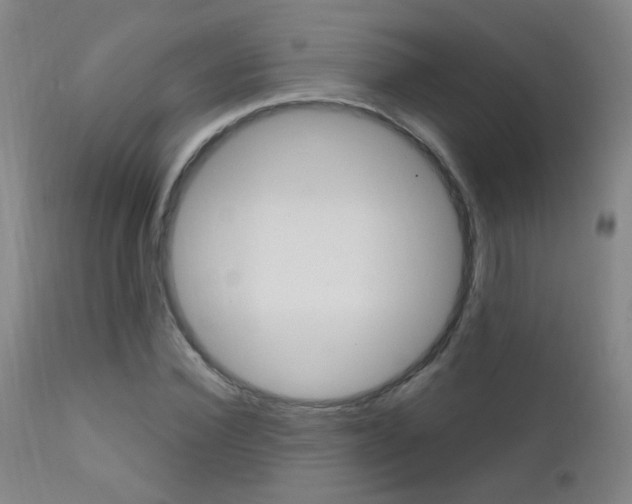 X0000111610924200907171036