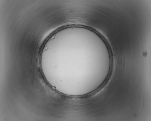 X0000111610925200907171036