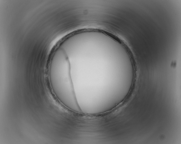 X0000111610928200907171036