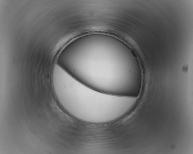 X0000111610930200907171036