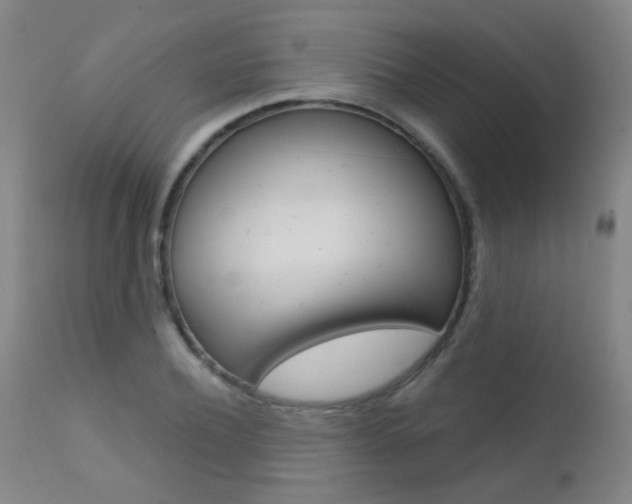 X0000111610932200907171036
