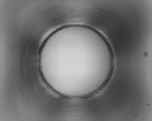 X0000111610933200907171036
