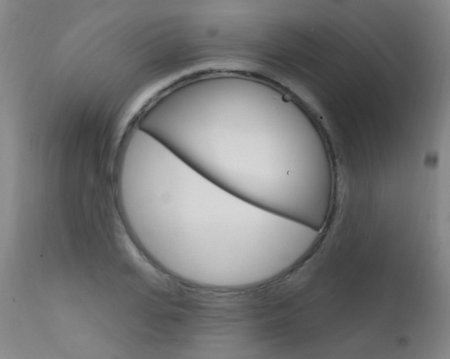 X0000111610935200907171036