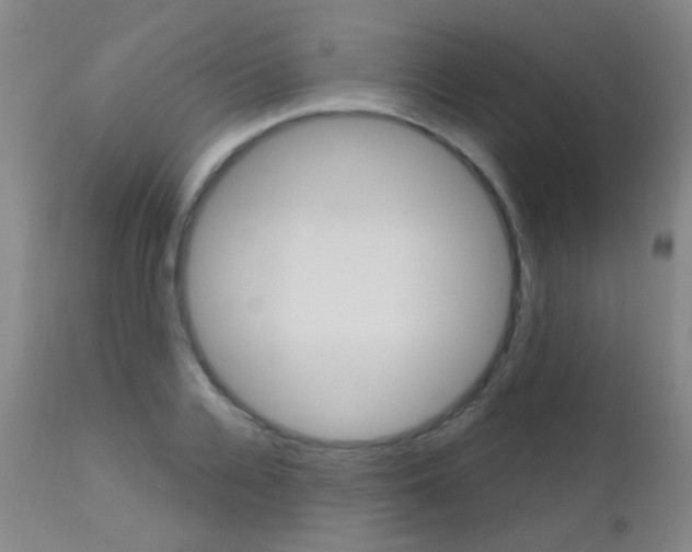 X0000111610936200907171036