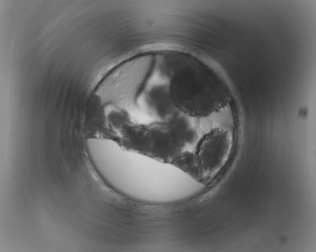 X0000111610937200907171036