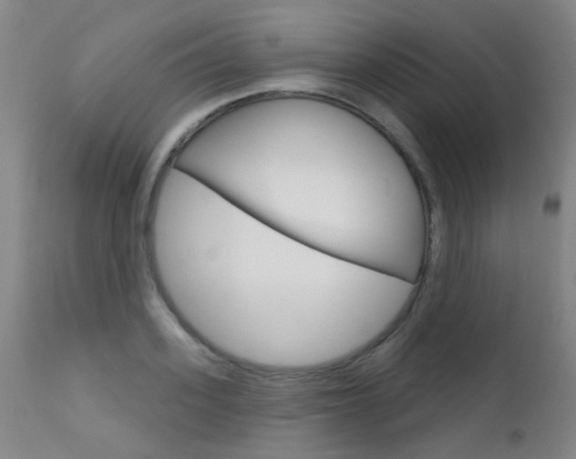 X0000111610939200907171036