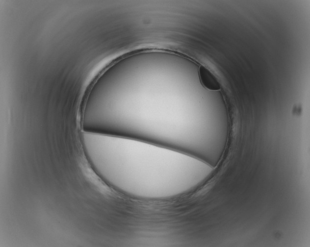 X0000111610940200907171036