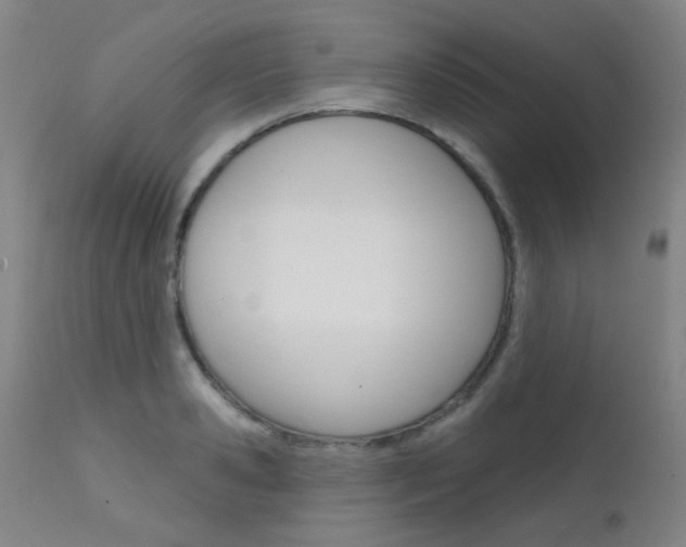 X0000111610941200907171036
