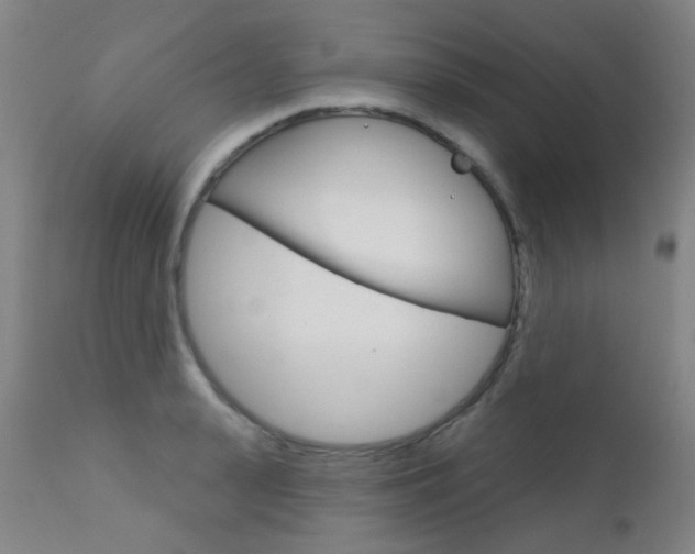 X0000111610943200907171036