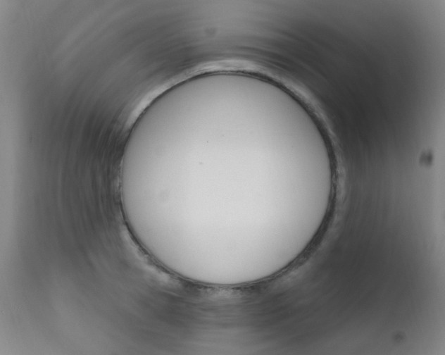 X0000111610945200907171037