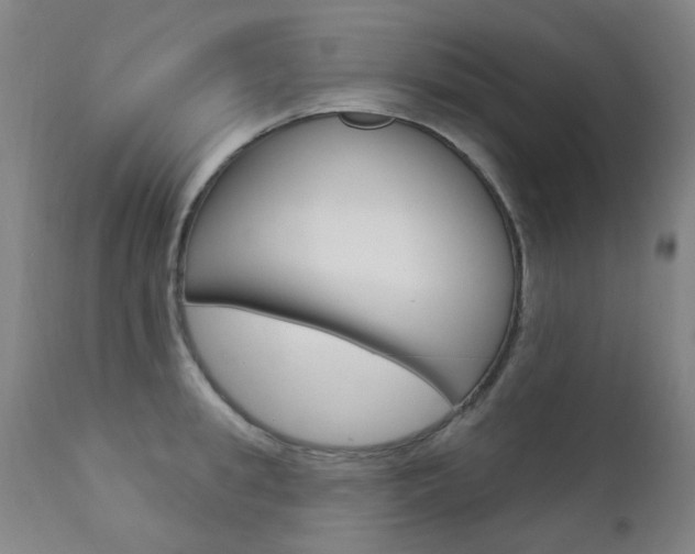 X0000111610949200907171037