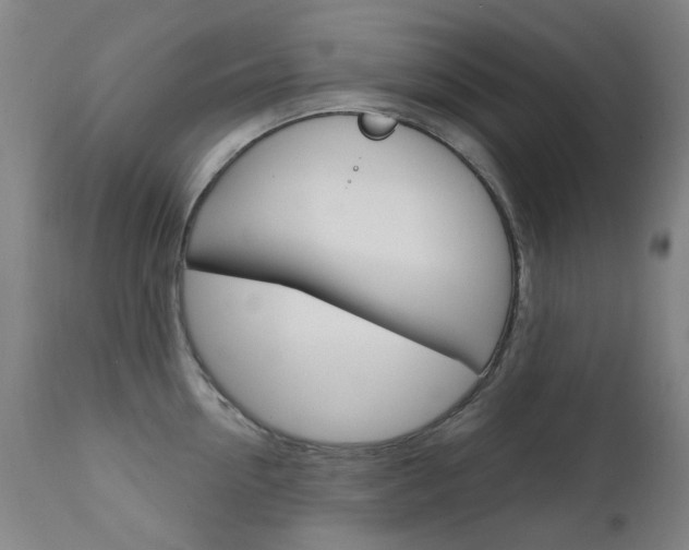 X0000111610954200907171037