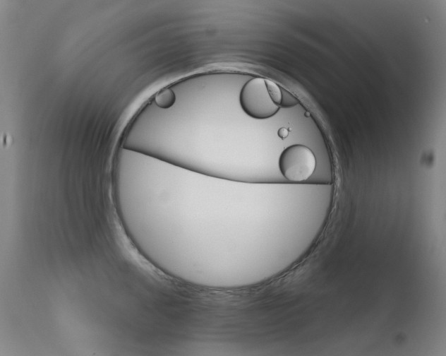 X0000111610955200907171037