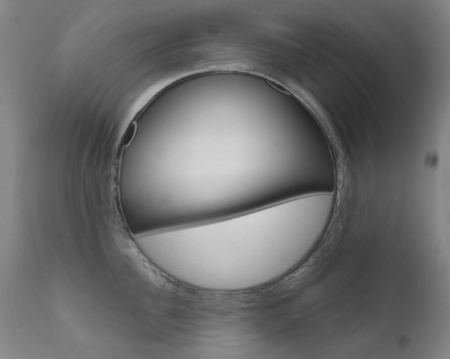 X0000111610956200907171037