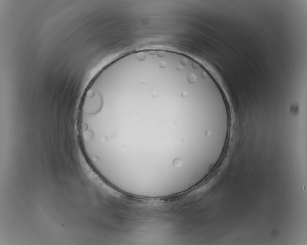 X0000111610957200907171037