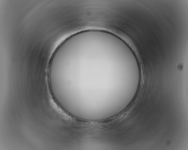 X0000111610958200907171037