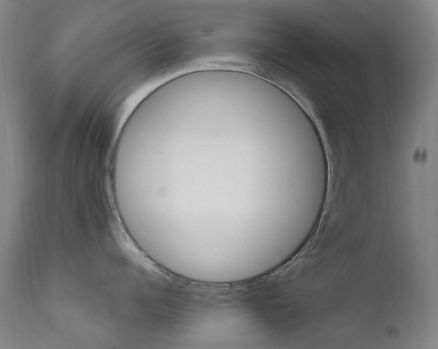 X0000111610960200907171037