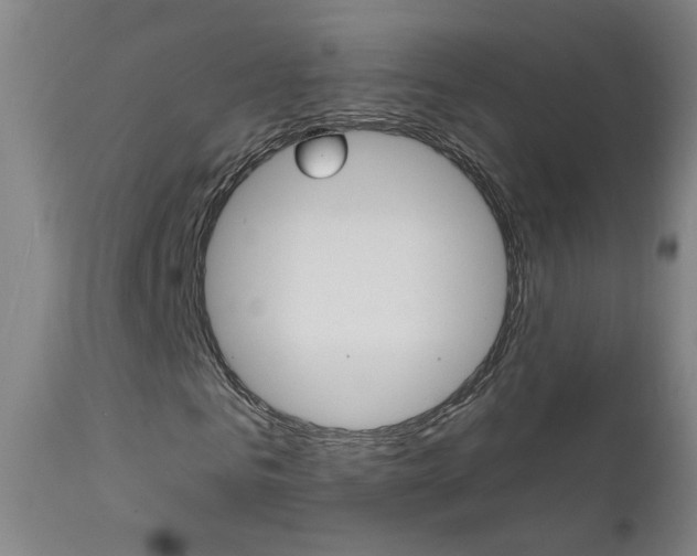 X0000111610961200907171036