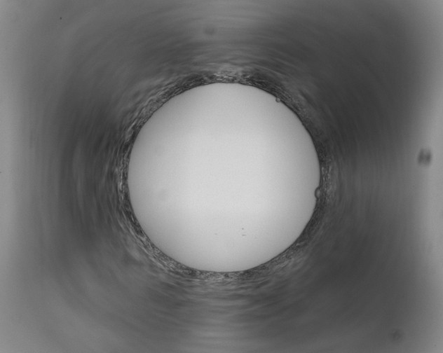 X0000111610962200907171036