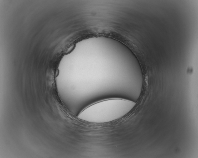 X0000111610963200907171036