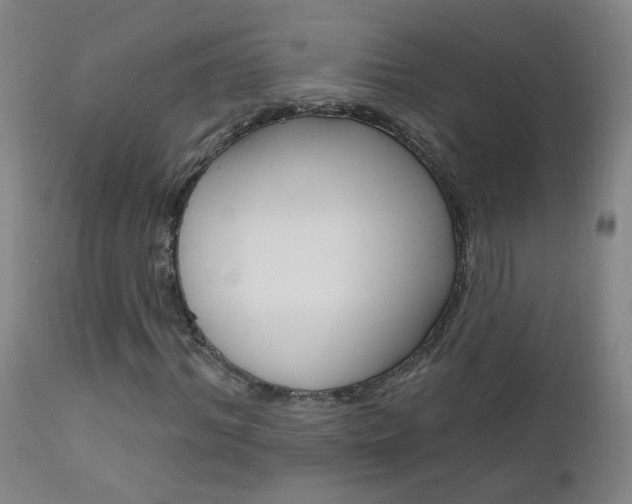 X0000111610964200907171036