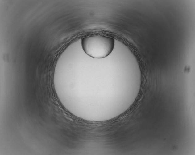 X0000111610965200907171036