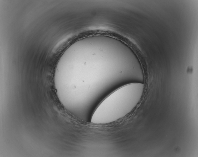 X0000111610967200907171036