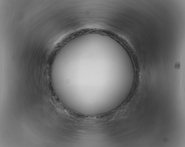 X0000111610968200907171036