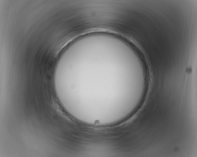 X0000111610969200907171036