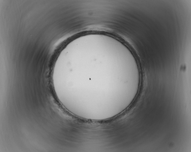 X0000111610971200907171036
