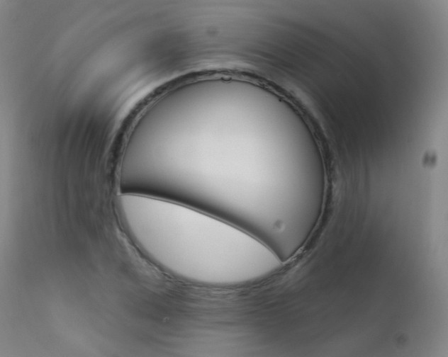 X0000111610975200907171036
