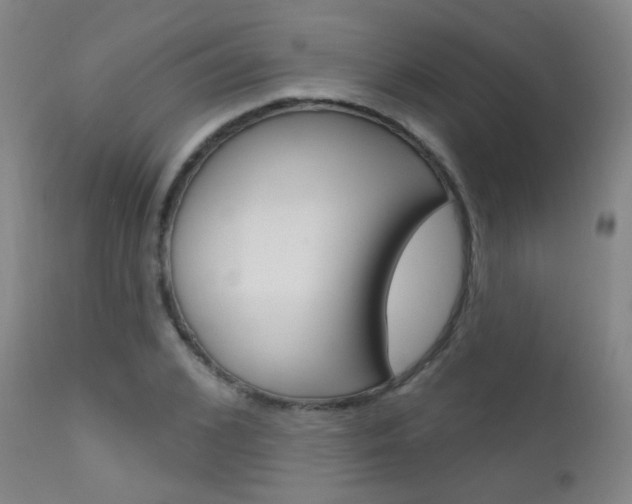 X0000111610976200907171036