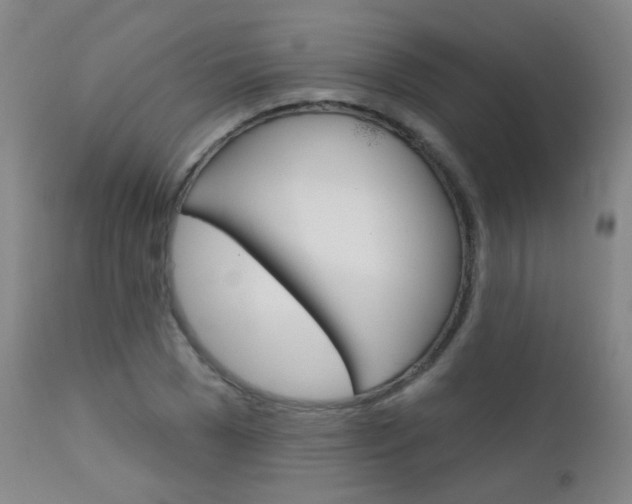 X0000111610977200907171036