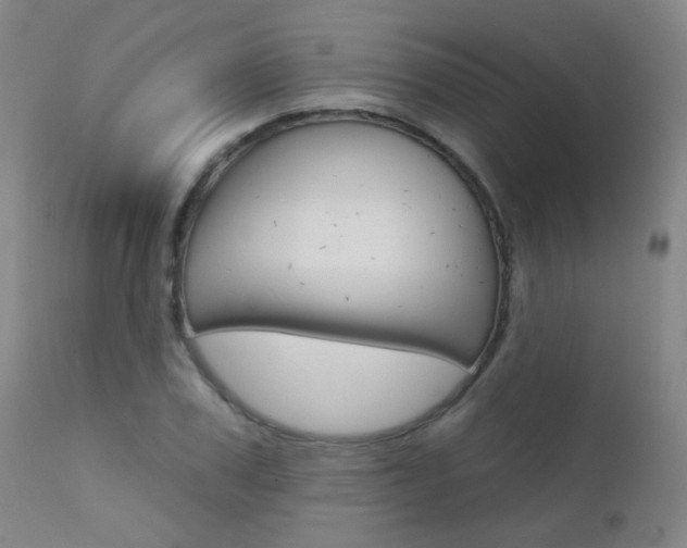 X0000111610979200907171036