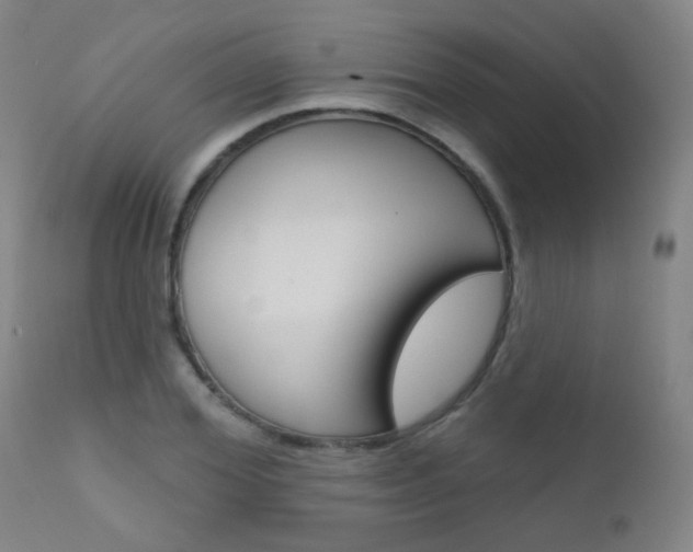 X0000111610980200907171036
