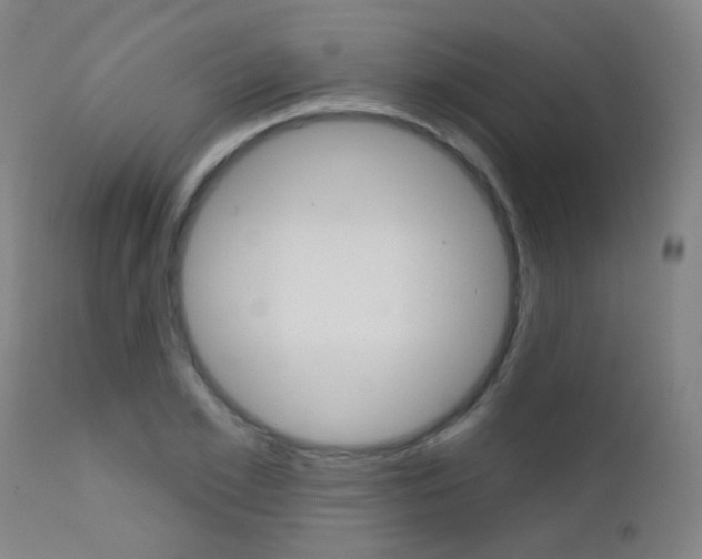 X0000111610981200907171036