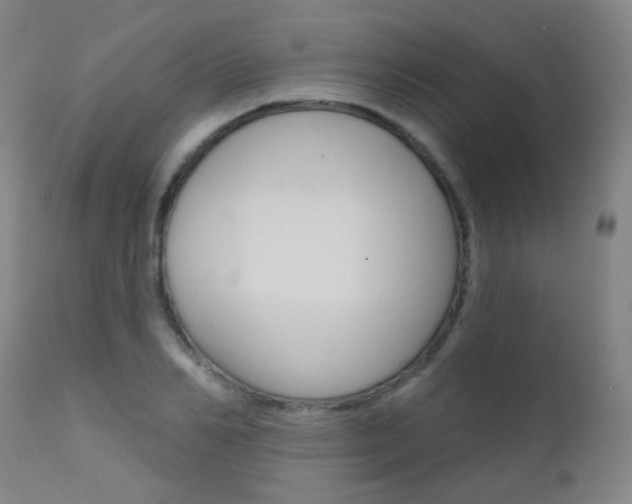 X0000111610982200907171036