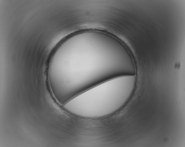 X0000111610983200907171036