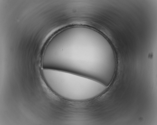 X0000111610984200907171036