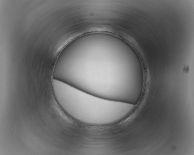 X0000111610985200907171036