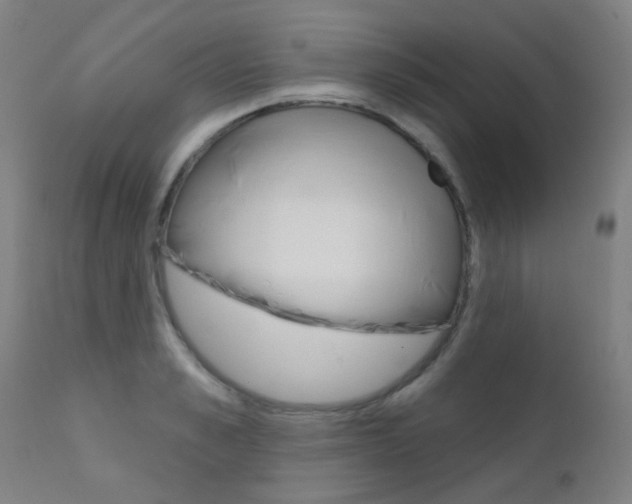 X0000111610989200907171036