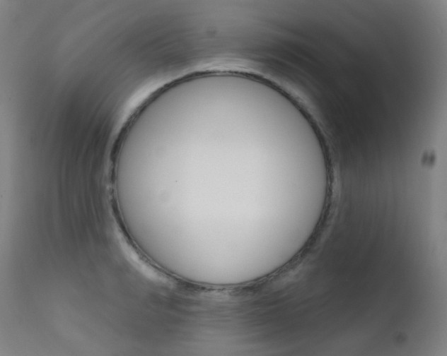 X0000111610990200907171036