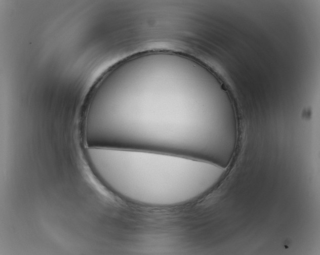 X0000111610991200907171036