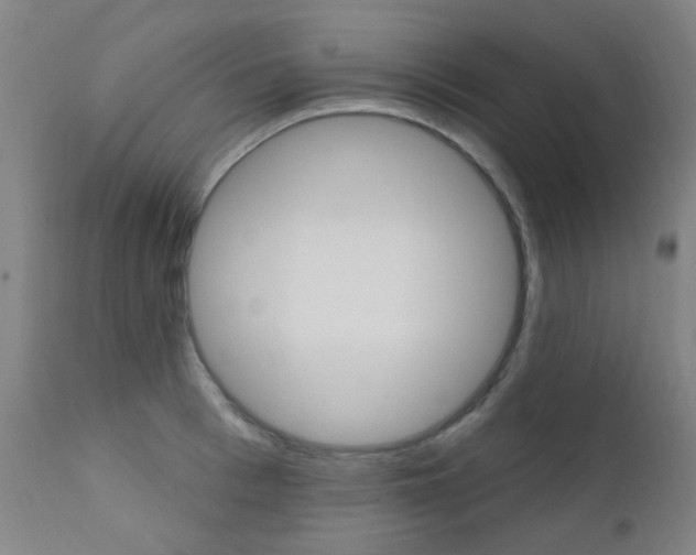 X0000111610993200907171036