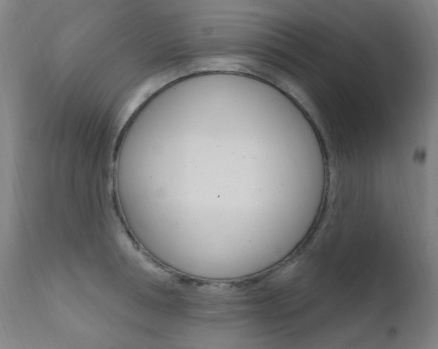 X0000111610994200907171036
