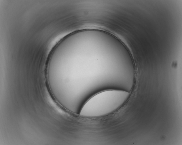 X0000111610995200907171036