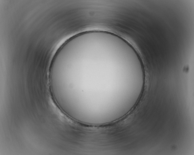 X0000111610996200907171036
